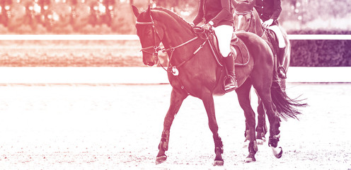 Beautiful girl on black horse in jumping show, equestrian sports, duotone, black and white. Horse...
