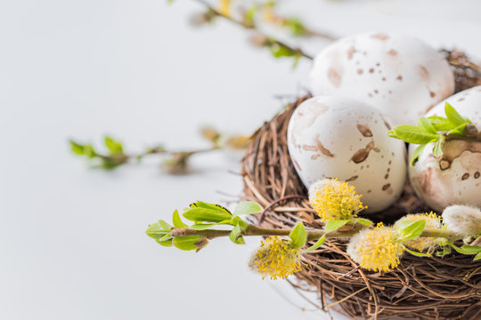 Composition with green buds on branches, decorative nest with easter eggs on a light background