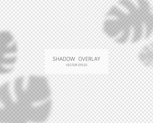 Shadow overlay effect. Tropical leaves shadows. Vector soft shadow and light overlay effect.