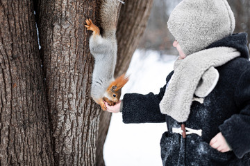 Fototapeta na wymiar A little child in winter feeds a squirrel with a nut. Cute little boy feeding squirrel at winter park
