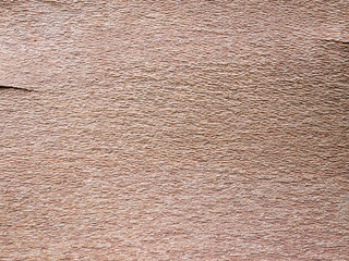 texture of tree bark close-up. The rough skin of an old tree. Natural wood background