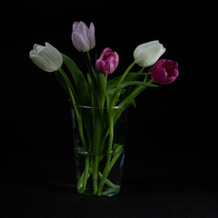  natural garden flowers tulips in vase for event