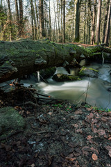 The Höllbachtal in Bavaria in Germany IV