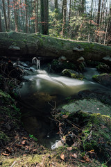 The Höllbachtal in Bavaria in Germany V