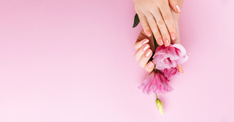 Obraz na płótnie Canvas Beautiful Woman Hands with fresh eustoma. Spa and Manicure concept. Female hands with pink manicure. Soft skin, skincare concept. Beauty nails. Over beige background