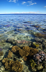 Sea with coral reef and clouds