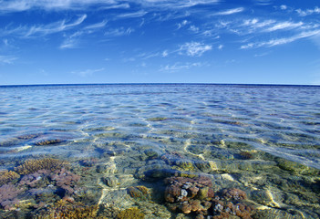 Red sea coral reef and sky.