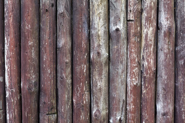 wall as background - wooden sticks