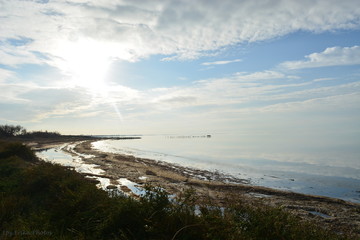 &eacute;tendue d'eau en camargue