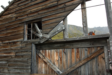 Independence Mine State Historical Park