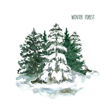 Watercolor winter forest illustration. Snowy pine trees, isolated on white background. Nature landscape sketch. Christmas card