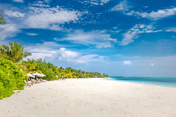 Tropical beach in Maldives with few palm trees, beach chairs and blue lagoon