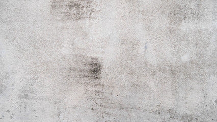Fototapeta na wymiar White cement wall with cracks And black donkey