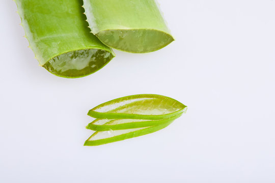 Sliced fresh Aloe vera (Rannik, Sabur) isolated on white background. This plant is used in medicine and cosmetology.