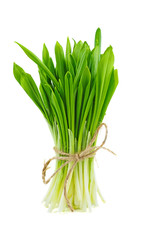 Bunch of fresh green ramson tied with jute rope isolated on white background