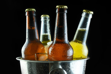 beer bottles in a bucket with ice on a black background