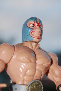 Toy Wrestler