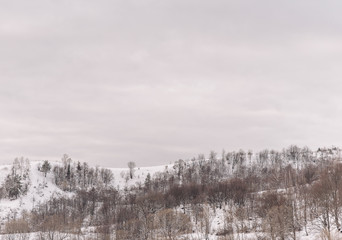 winter landscape with fog and trees