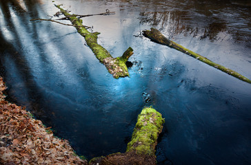 Zimowa Rzeka z Pniami  © Wojciech Lisiński