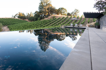 Infinity Pool on a Vineyard - with dog, Ultra luxury