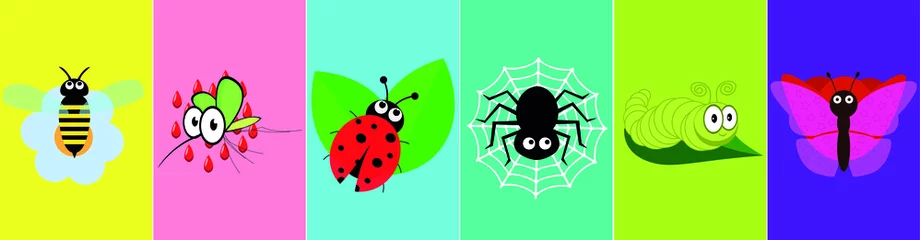 Fotobehang Insect icon set. Kawaii wasp with flower, mosquito with blood, ladybug with leaves, spider with cobweb, caterpillar, butterfly with flower. Flat design. Vector © Евгений Соловьев