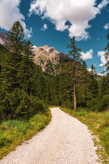 Fototapeta premium forest path in the Dolomites, Fischlein valley.