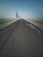 Empty road with trees.  Autumn landscape and road.