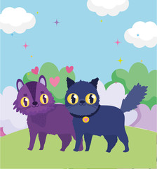 cute cats in the grass love hearts domestic pets