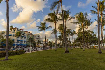 Beautiful landscape view of Miami South Beach. Buildings on one side and palm trees on another side. Blue sky and white clouds on background. 