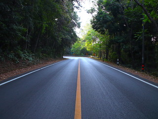 Empty Road with an endless yellow line in the mountains of Chiangmai Thailand surrounded by dense forests