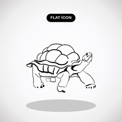 Sketch of turtle. Vector sketch, Hand drawn illustration