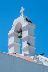 Mediterranean style architecture old Greek church belfry with pigeons laying on top in Mykonos, Cyclades, Greece