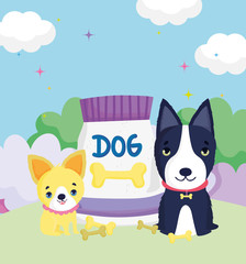 dogs with collar and pack food outside pets