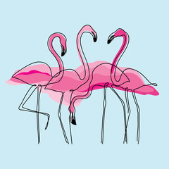 Four pink flamingos on a blue background.