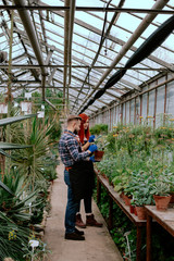 Family agriculture business in a flower greenhouse two gardener lady and man analyzing the plants from the pot they write something on the map