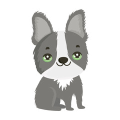 cute gray dog domestic sitting cartoon pets