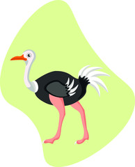 Fototapeta premium Strauss bird, animal cartoon vector character isolated on white background. Concept for print, logo, cards, icon 