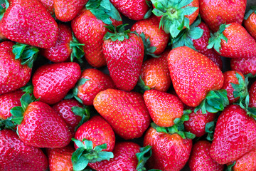 Sweet ripe strawberry closeup. Food photography