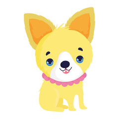 cute little dog domestic sitting cartoon pets