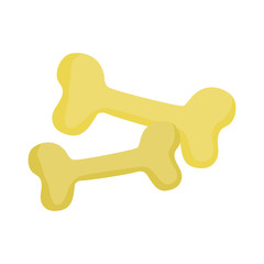 bones food for dog pets on white background