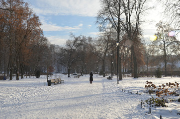 Fototapeta na wymiar The Bernardine Garden, is a public park in the city of Vilnius. Back view of a walking woman in the park.
