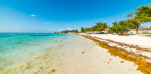Turquoise sea and palm trees in Raisins Clairs beach