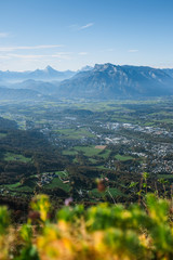 Vistas Panorámica de los Alpes Bávaros desde Gaisberg, Salzburg con flores amarillas