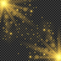 Sparkling magic dust particles. The light of a star. star glow on a transparent background explodes on a transparent background. White light. Bright Star.