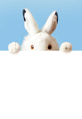 White easter rabbit with sheet for a text writing. Easter concept. Easter bunny. New year 2023 symbol.