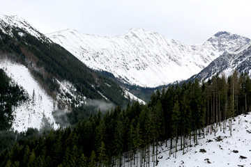 winter in west Tatra mountains