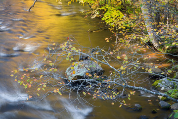 Warm light reflecting off of autumn foliage is reflected in the Manitowish River in northern Wisconsin, USA.
