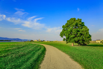 Obraz premium 夏の河川公園