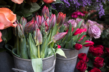 Bouquets of pink roses and red tulips in large zinc buckets for sale in store.