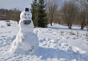 Snowman with beard and mustache on sunny winter day